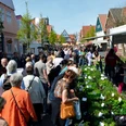 Otterndorfer Bauernmarkt Besucher schlendern über den Otterndorfer Bauernmarkt mit regionalen Ständen