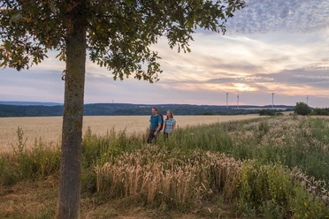 Wandern auf der Traumschleife Der Bietzerberger