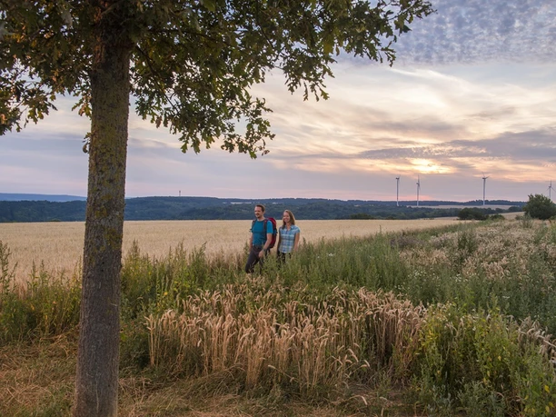 Wandern auf der Traumschleife Der Bietzerberger