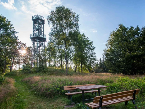 Turm auf dem Wilzenberg