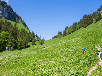 Kurz vor dem Bäckenalmsattel