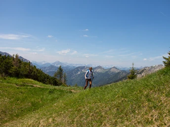 Wiese kurz vor dem Gipfelanstieg