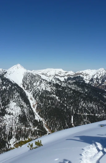 Skitour Kreuzspitze - Blick auf den Scheinberg