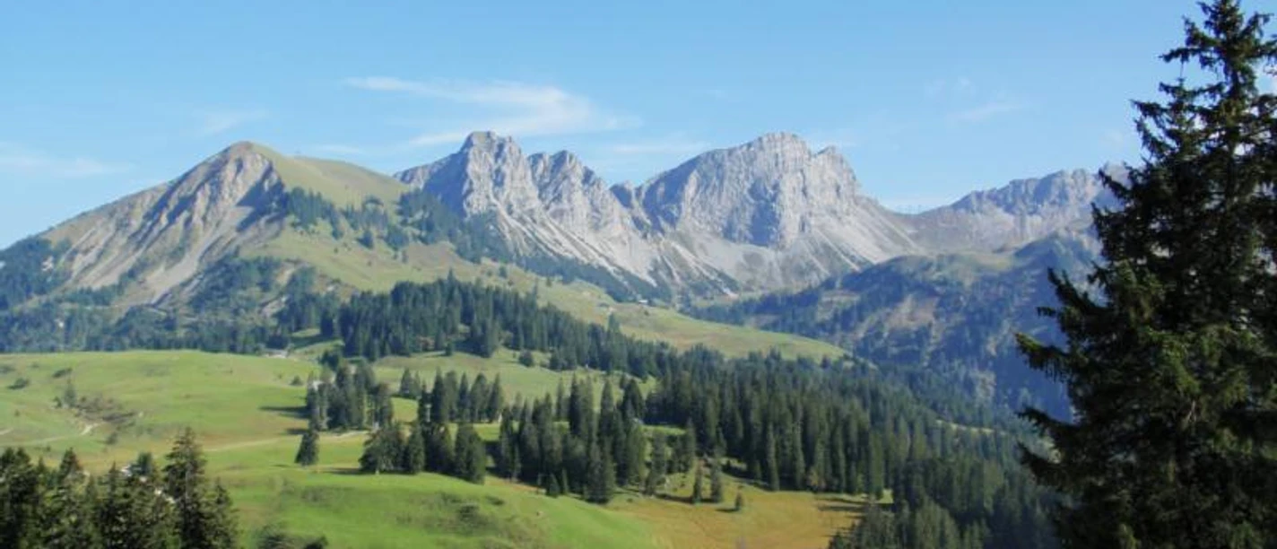 Aussicht Richtung Glaubenbielenpass