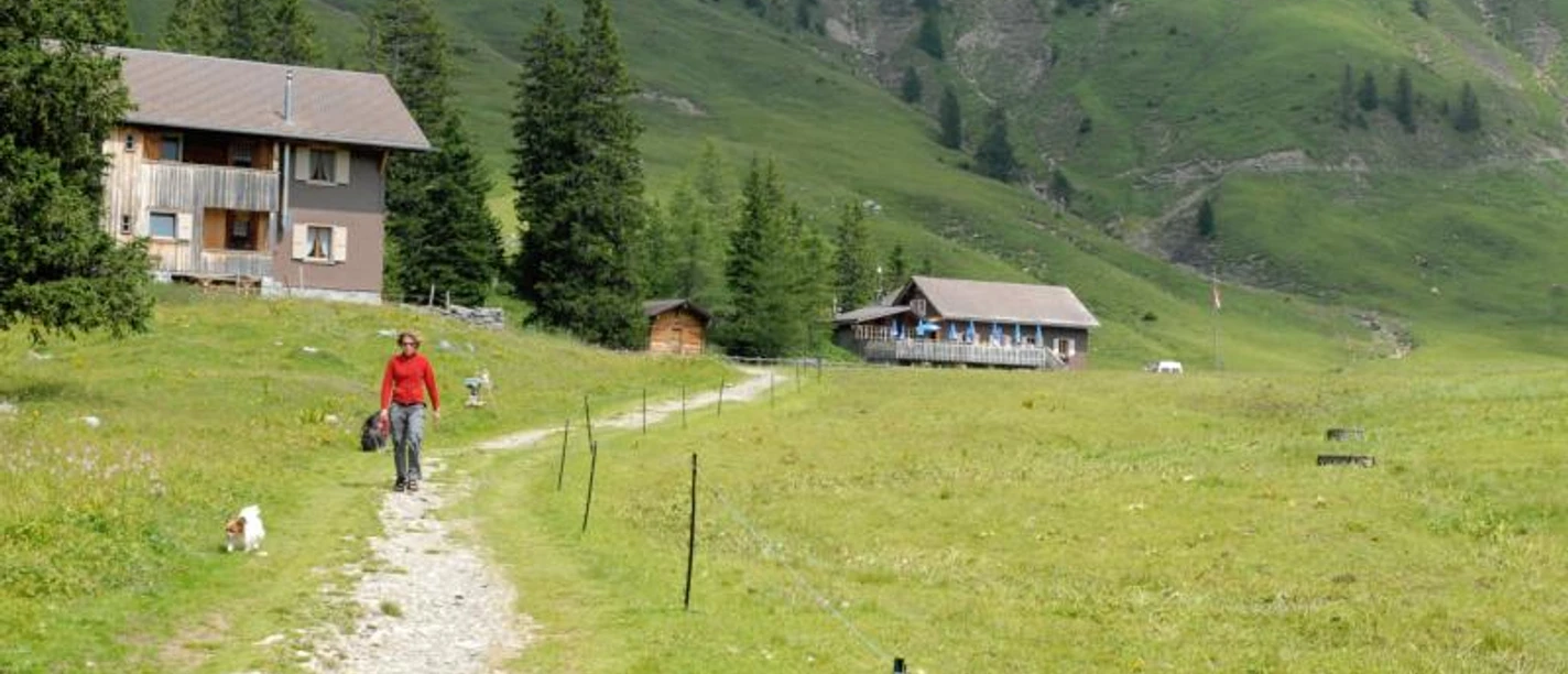 Aelggialp Weg zum Restaurant