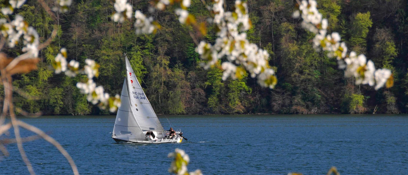 Aussicht Camping Bachmattli