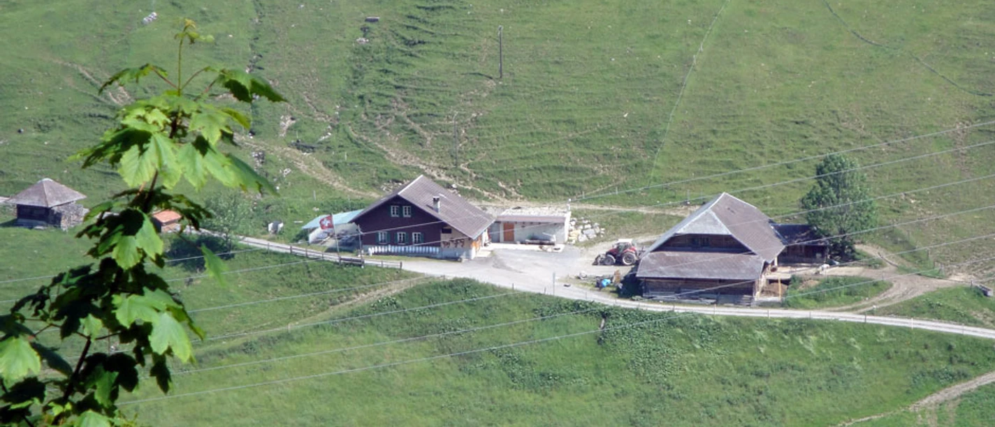 Alp Arni-Schwand