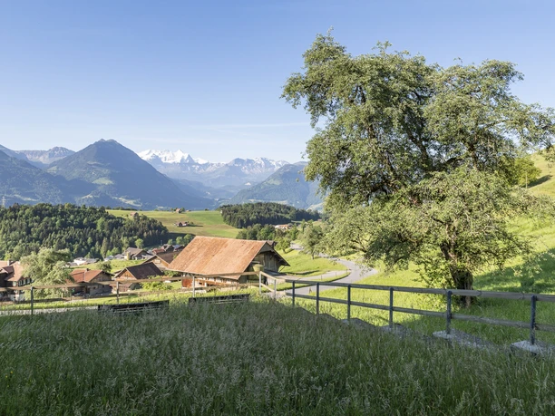 Kurs- und Ferienhaus Sommerau