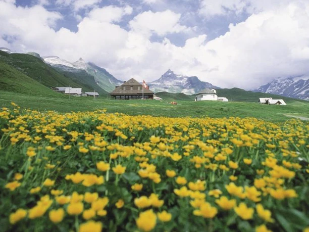 Berggasthaus Tannalp