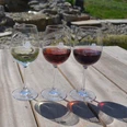 Weingut Oesterlein