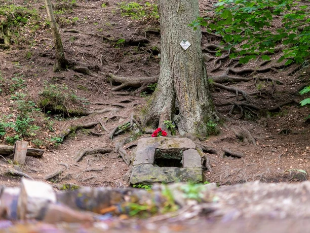 Ilsequelle Bad Laasphe