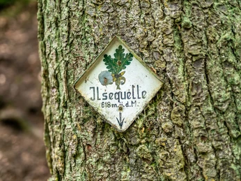 Ilsequelle Bad Laasphe