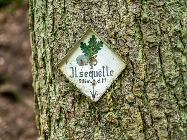 Ilsequelle Bad Laasphe