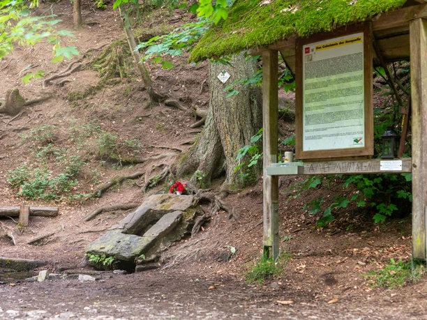 Ilsequelle Bad Laasphe