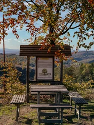 Rastplatz Kaffeebuche auf dem Rothaarsteig im Herbst