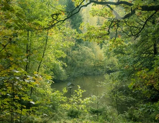Durch das Schwarzbachtal führt die Spur entlang an idyllischen Teichen und Wasserspielen.