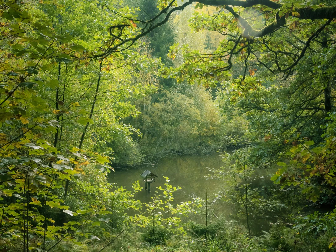 Durch das Schwarzbachtal führt die Spur entlang an idyllischen Teichen und Wasserspielen.