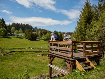 Von der Aussichtsplattform aus erhascht der Wanderer einen besonderen Blick auf die mäandernde Benfe.
