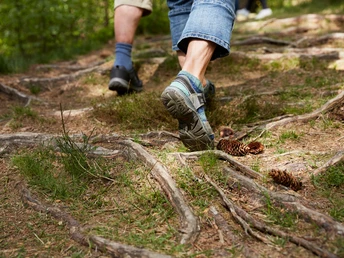 Wurzelpfade entlang des Mäanderweges