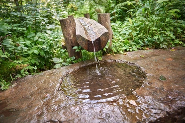 Siegquelle bei Netphen-Walpersdorf Siegquelle