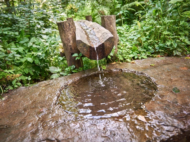 Siegquelle bei Netphen-Walpersdorf Siegquelle