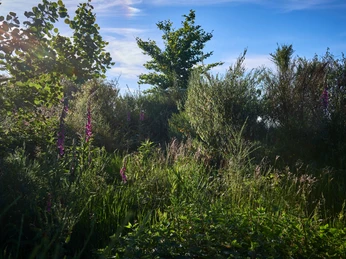 Landschaft am Ausblick Hohe Ley Panoramablick Hohe Ley