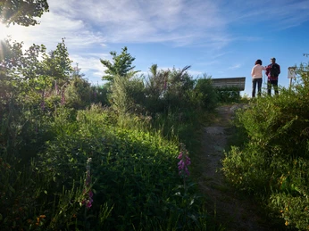 Ausblick Hohe Ley Panoramablick Hohe Ley