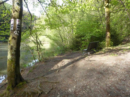 Rastplatz mitten im Wald