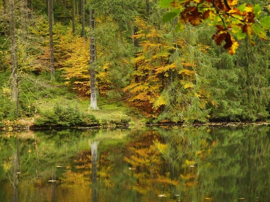 Der Herbst tupft die Umgebung am Weiher in ein buntes Farbenmeer.