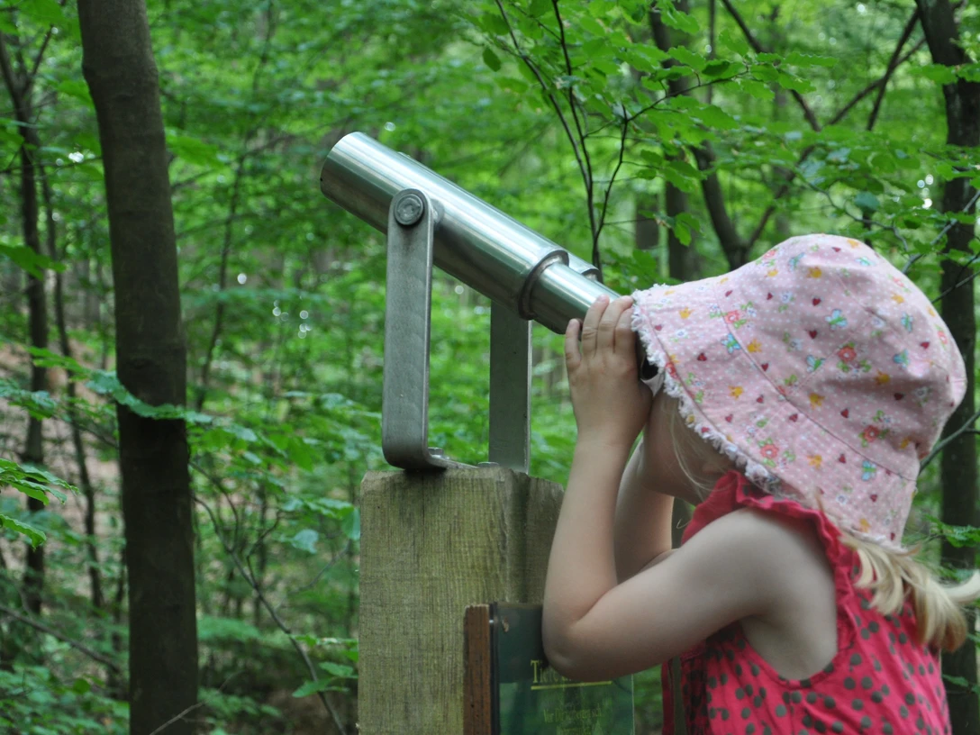 Walderlebnispfad Siegquelle: Kind schaut durch Fernrohr