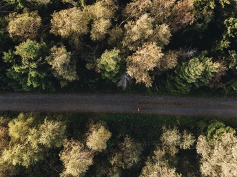 Rothaarsteig nahe der Tiefenrother Höhe