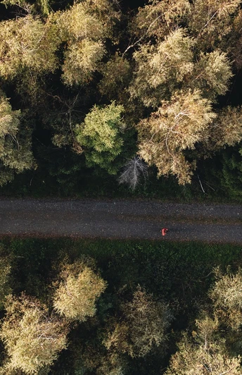 Rothaarsteig nahe der Tiefenrother Höhe