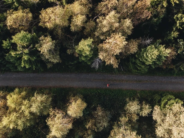 Rothaarsteig nahe der Tiefenrother Höhe Rothaarsteig nahe der Tiefenrother Höhe