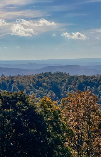 Aussicht von der Ginsburg über die herbstliche Landschaft