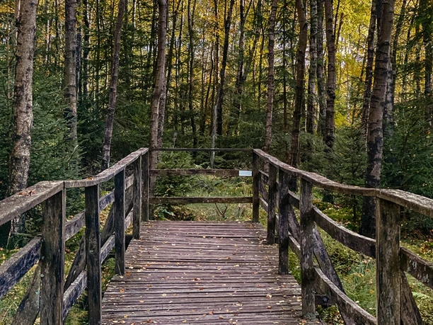 Steg an der Ederquelle auf dem Rothaarsteig