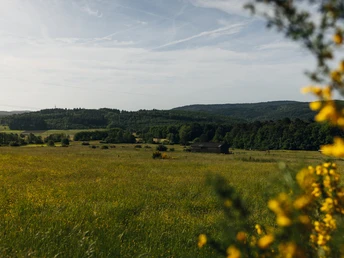 Aussicht vom Rothaarsteig bei Manderbach