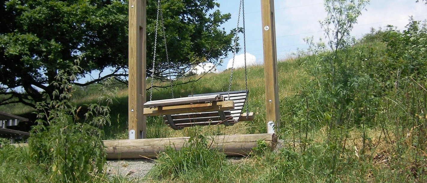 Waldschaukel Manderbach