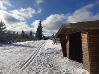 Albrechtsplatzloipe auf der Steinert bei Girkhausen