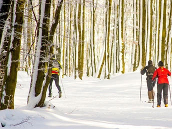 Loipe Pastorenwiese SK Wunderthausen