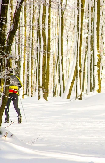 Loipe Pastorenwiese SK Wunderthausen