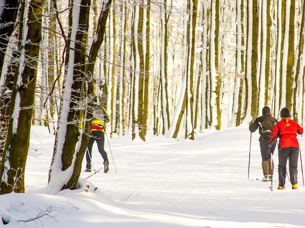 Loipe Pastorenwiese SK Wunderthausen