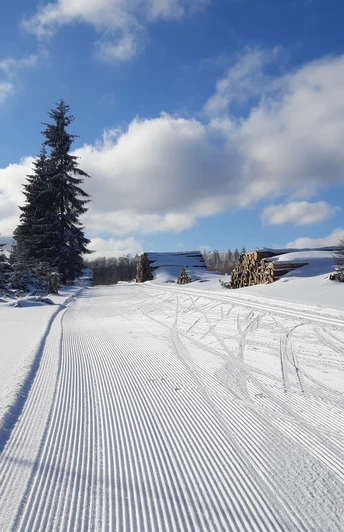 Albrechtsplatz Loipe