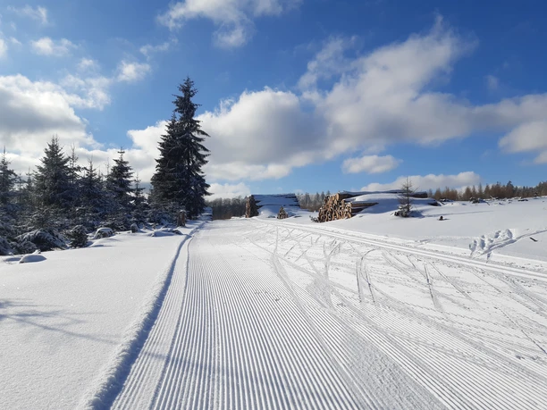 Albrechtsplatz Loipe