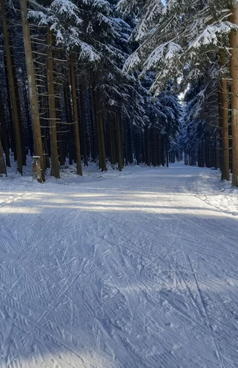 Albrechtsplatz Loipe 3