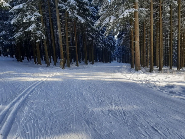 Albrechtsplatz Loipe 3