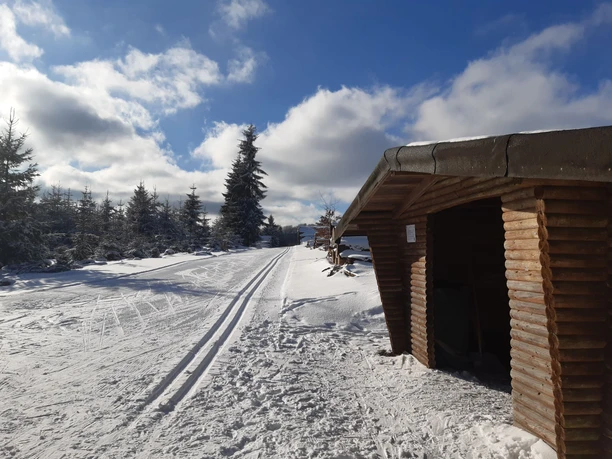 Albrechtsplatz Loipe 2