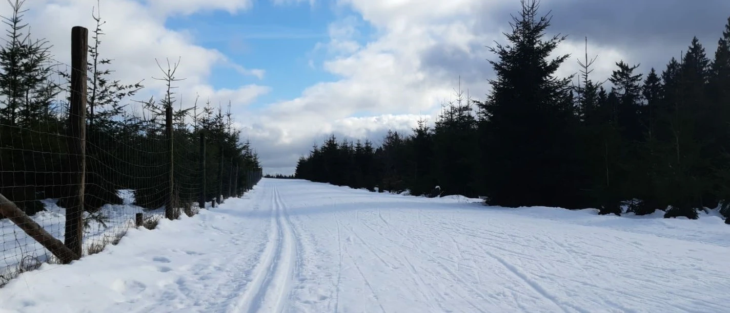 Gespurte Loipe in Girkhausen