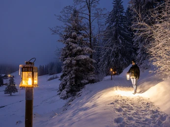 Winter Laternenweg Finsterwald Entlebuch Advent Felder Photography (1)