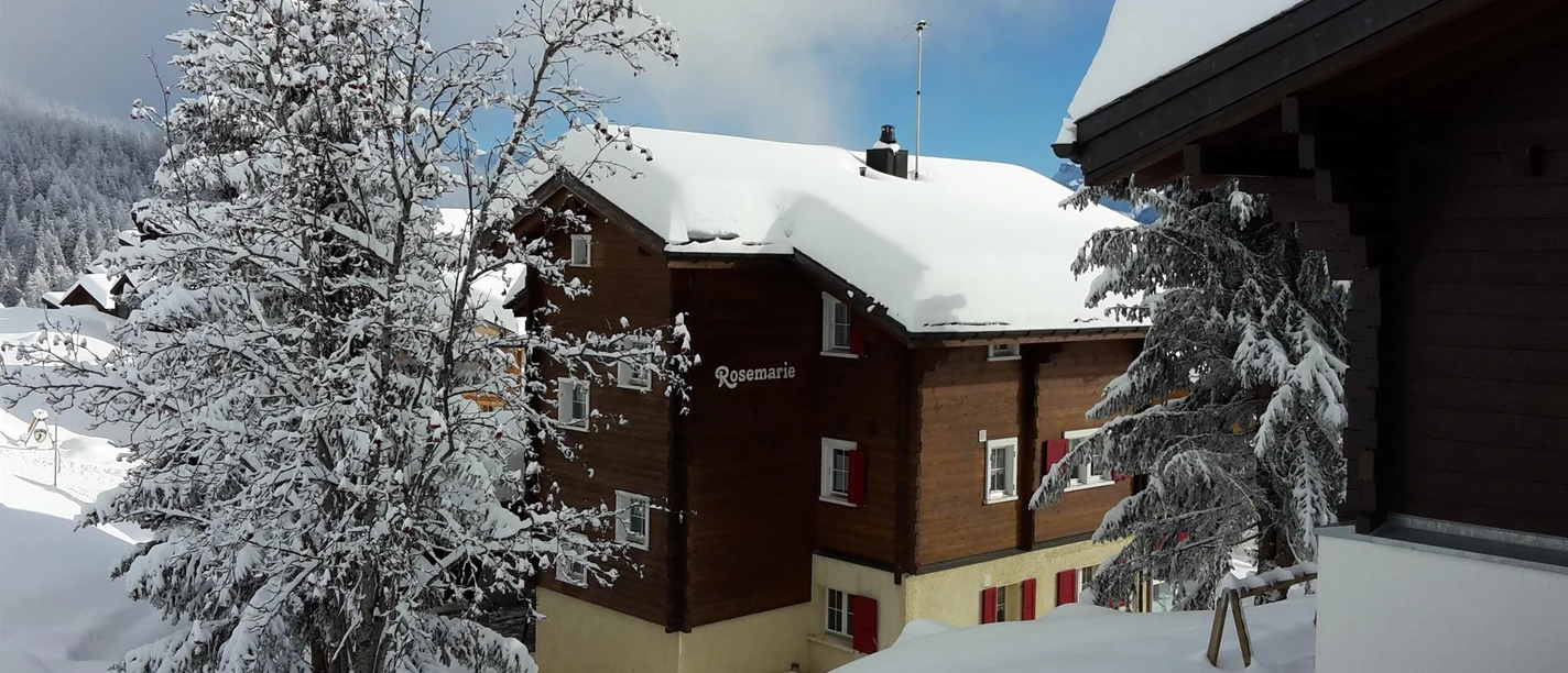 Blick von der Strasse