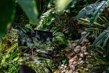 Regenwaldhaus im Botanischen Garten